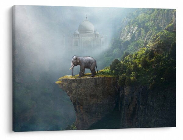 Obraz - Sloník na vrchole Taj Mahal (70x50 cm)