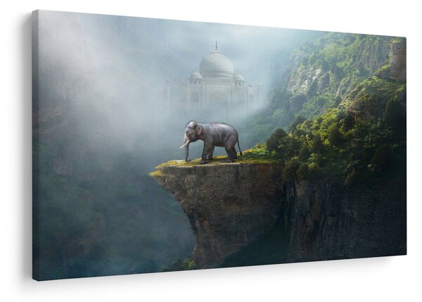 Obraz - Sloník na vrchole Taj Mahal (90x60 cm)