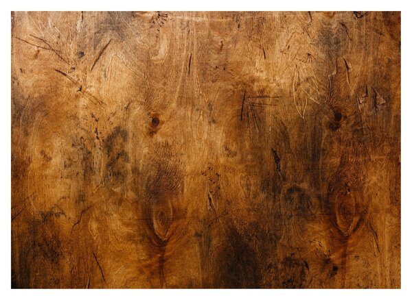 Obraz - Detail dreva (70x50 cm)
