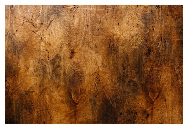 Obraz - Detail dreva (90x60 cm)