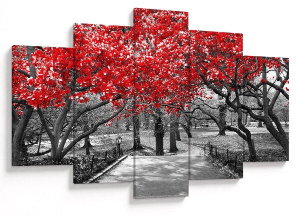 Obraz - Červené stromy, Central Park, New York (150x105 cm)
