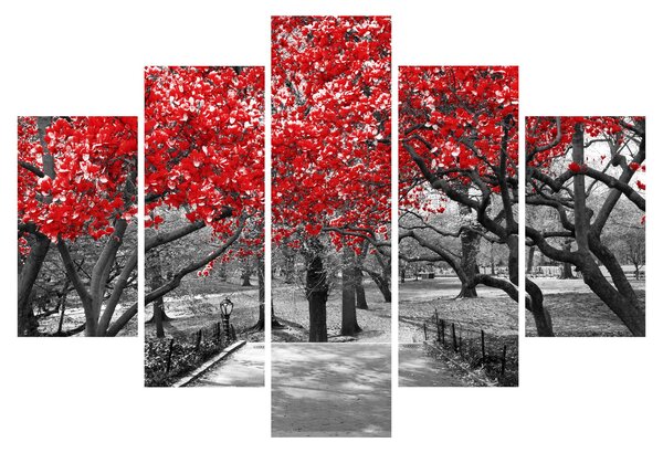 Obraz - Červené stromy, Central Park, New York (150x105 cm)