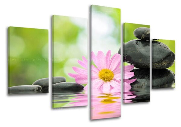 Obraz na stenu 5 dielny FENG SHUI FS009E50
