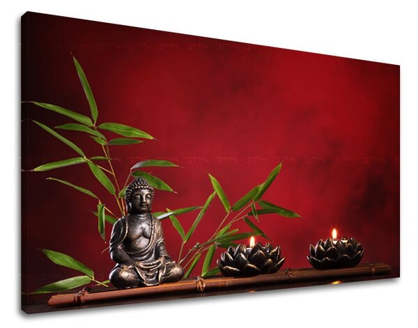 Obraz na stenu FENG SHUI FS013E11