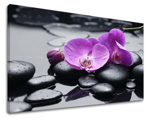 Obraz na stenu FENG SHUI FS011E11