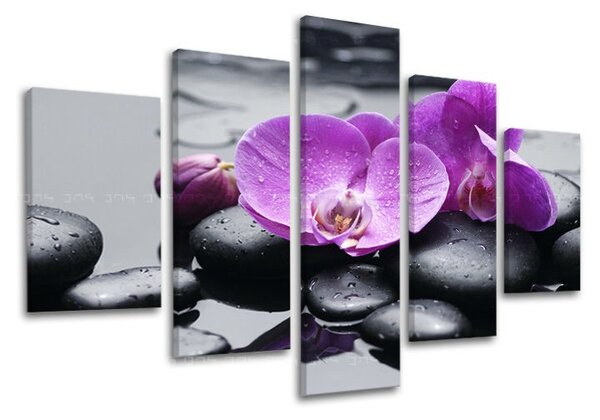 Obraz na stenu 5 dielny FENG SHUI FS011E50