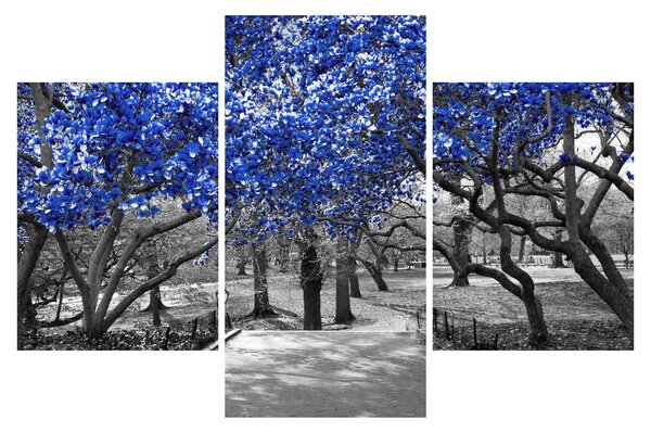 Obrázok - Modré stromy, Central Park, New York (90x60 cm)