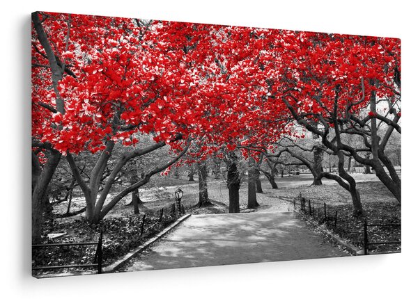 Obraz - Červené stromy, Central Park, New York (90x60 cm)