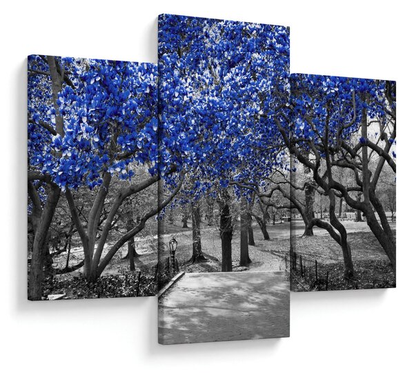 Obrázok - Modré stromy, Central Park, New York (90x60 cm)
