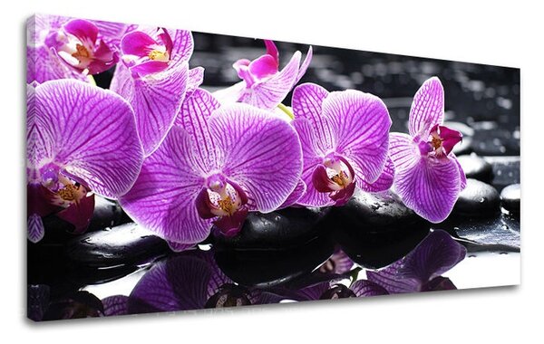 Obraz na stenu PANORÁMA FENG SHUI - 30x60 cm