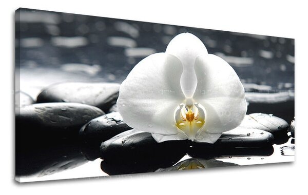 Obraz na stenu PANORÁMA FENG SHUI - 30x60 cm
