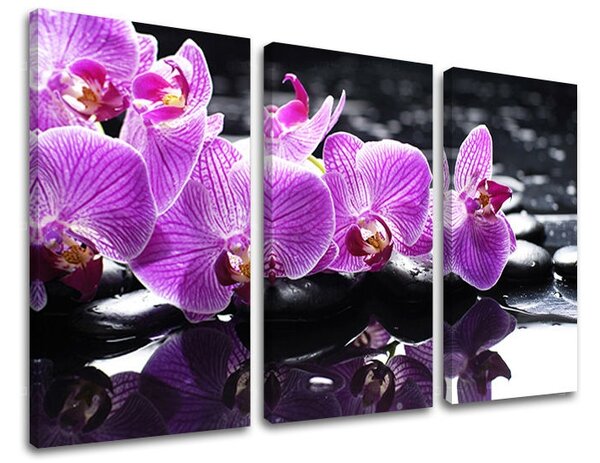 Obraz na stenu FENG SHUI - 60x40 cm
