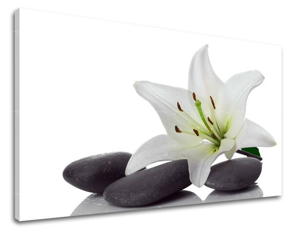 Obraz na stenu FENG SHUI FS029E11