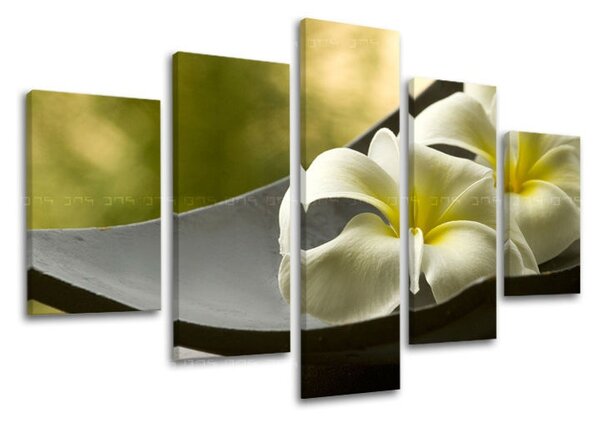Obraz na stenu FENG SHUI - 100x80 cm