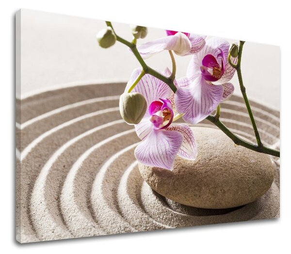 Obraz na plátne FENG SHUI_050-11