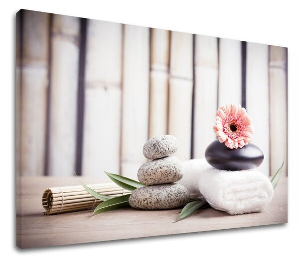 Obraz na plátne FENG SHUI_053-11