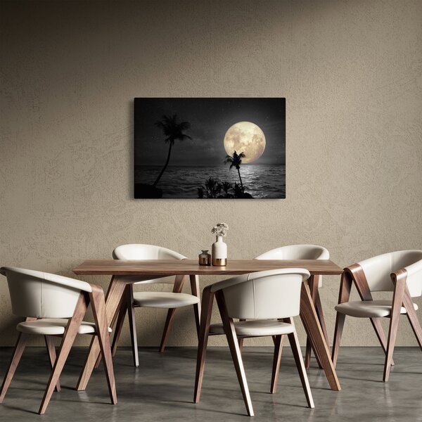 Obraz - Pláž za splnu v šedých tónoch (90x60 cm)