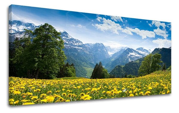 Obraz na stenu PANORÁMA KRAJINA KR036E13