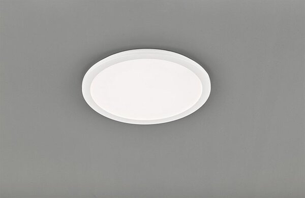 TRIO Reality R62922401 Camillus stropné svietidlo LED 1x24W 2000lm 3000K IP44