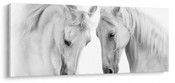 Obraz bielych koní (120x50 cm)