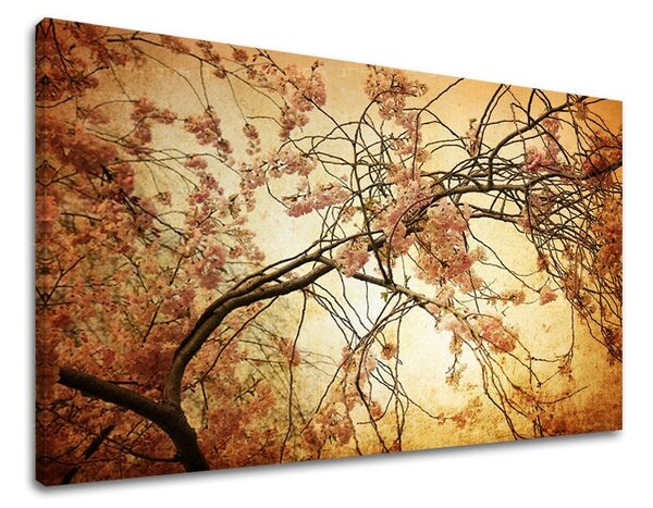 Obraz na stenu KVETY KV009E11 - 20x30 cm