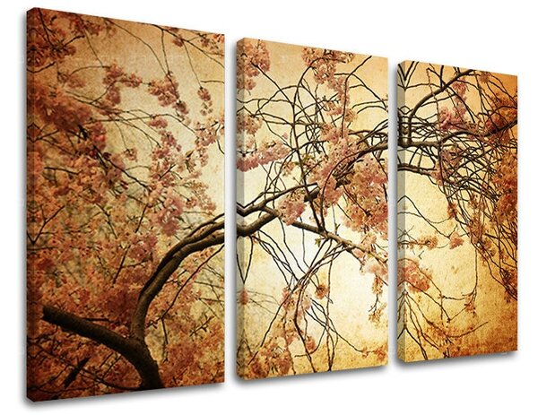 Obraz na stenu 3 dielny KVETY KV009E30 - 60x40 cm