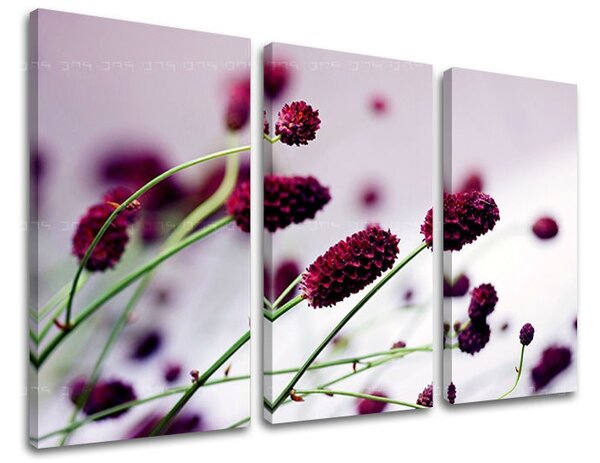Obraz na stenu 3 dielny KVETY KV007E30 - 60x40 cm