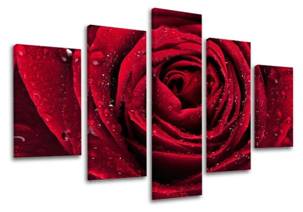 Obraz na stenu 5 dielny KVETY KV012E50 - 100x80 cm