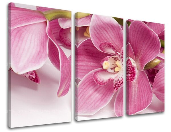 Obraz na stenu 3 dielny KVETY KV034E30 - 60x40 cm