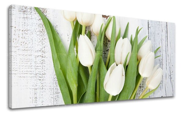 Obraz na stenu PANORÁMA KVETY KV036E13 - 30x60 cm