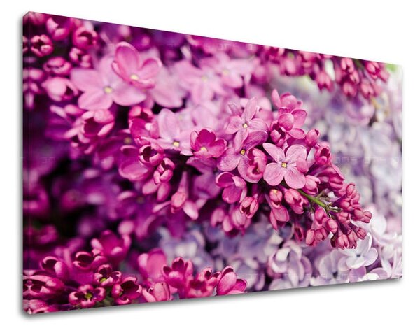 Obraz na stenu KVETY KV048E11 - 20x30 cm