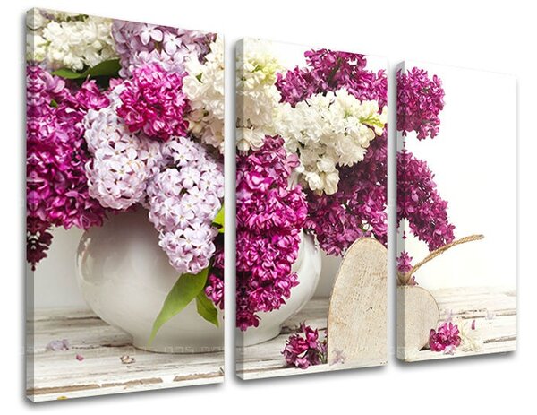 Obraz na stenu 3 dielny KVETY KV047E30 - 60x40 cm