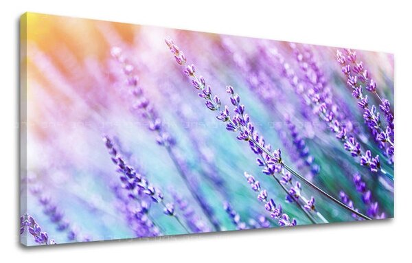 Obraz na stenu PANORÁMA KVETY - 30x60 cm