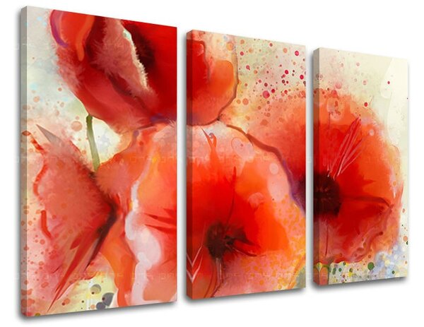 Obraz na stenu 3 dielny KVETY KV076E30 - 60x40 cm
