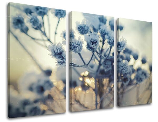 Obraz na stenu 3 dielny KVETY KV069E30 - 60x40 cm