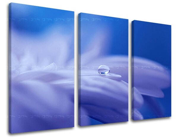 Obraz na stenu 3 dielny KVETY KV087E30 - 60x40 cm