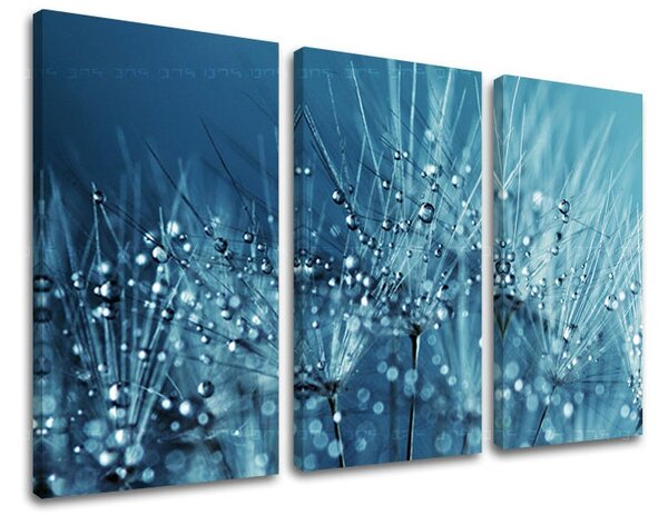 Obraz na stenu KVETY - 60x40