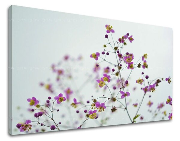 Obraz na stenu KVETY KV089E11 - 20x30 cm
