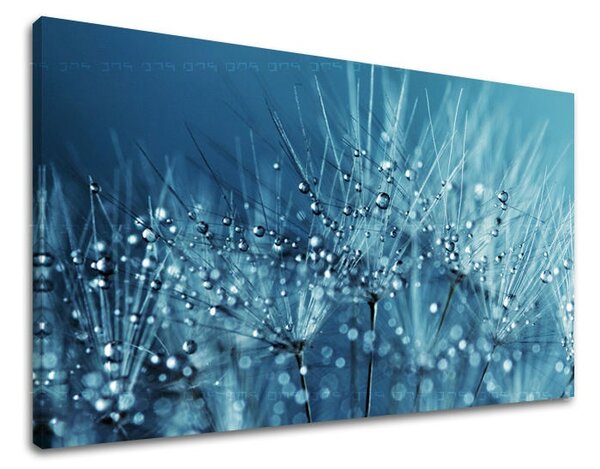 Obraz na stenu KVETY - 20x30