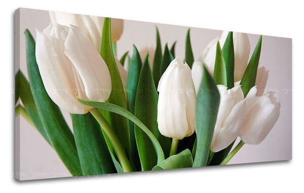 Obraz na stenu Panoráma KVETY XOBKV108E13 - 30x60 cm