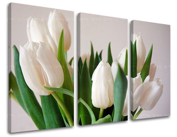 Obraz na stenu 3 dielny KVETY XOBKV108E30 - 60x40 cm
