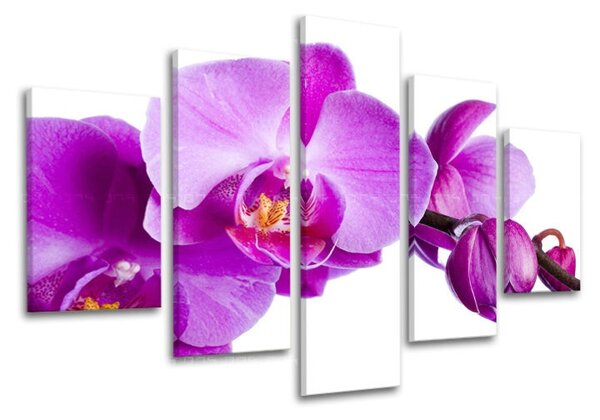 Obraz na stenu 5 dielny KVETY XOBKV135E50 - 100x80 cm
