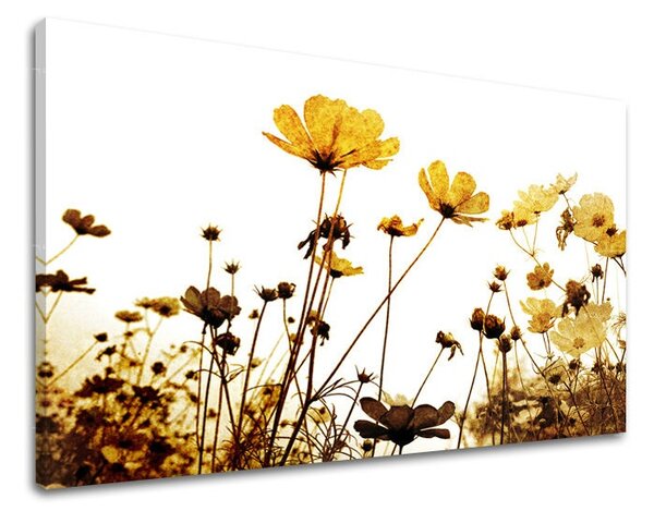 Obraz na stenu KVETY - 20x30
