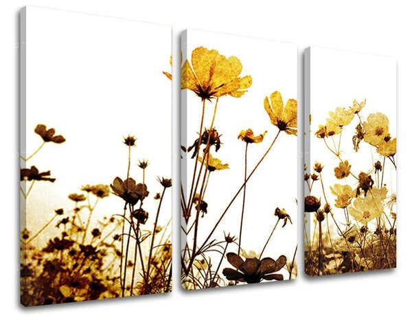 Obraz na stenu 3 dielny KVETY XOBKV143E30 - 60x40 cm