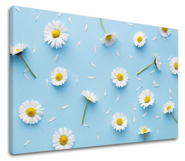 Obraz na stenu BIELE KVETY_163-11 - 20x30 cm