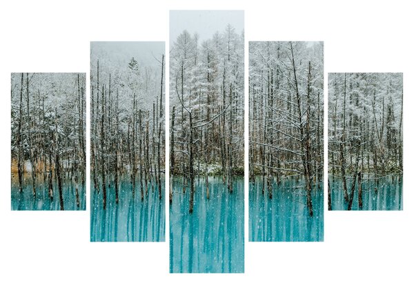 Obraz - Tyrkysový rybník, Biei, Japonsko (150x105 cm)