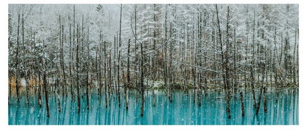 Obraz - Tyrkysový rybník, Biei, Japonsko (120x50 cm)