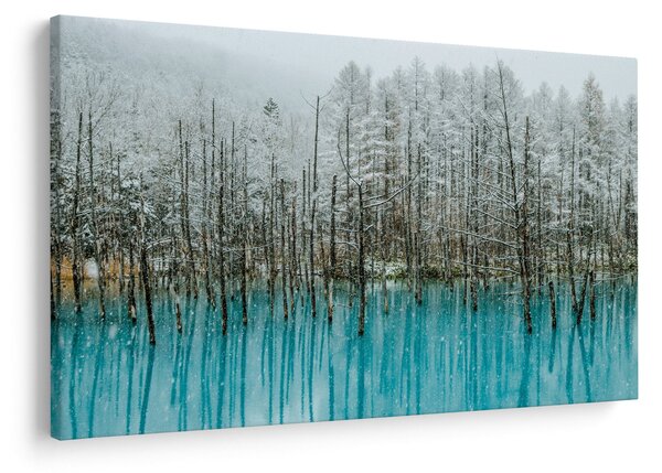 Obraz - Tyrkysový rybník, Biei, Japonsko (90x60 cm)