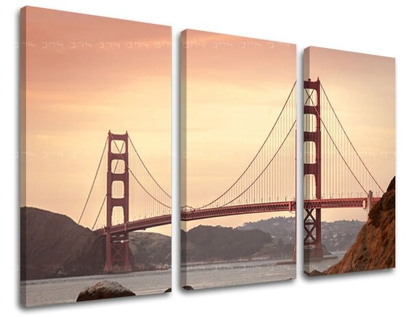 Obraz na stenu 3 dielny MESTO / SAN FRANCISCO ME116E30 - 60x40 cm