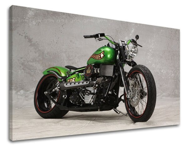 Obraz na stenu MOTO MO002E11 - 20x30 cm